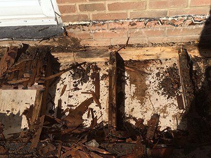 Rotten trusses
