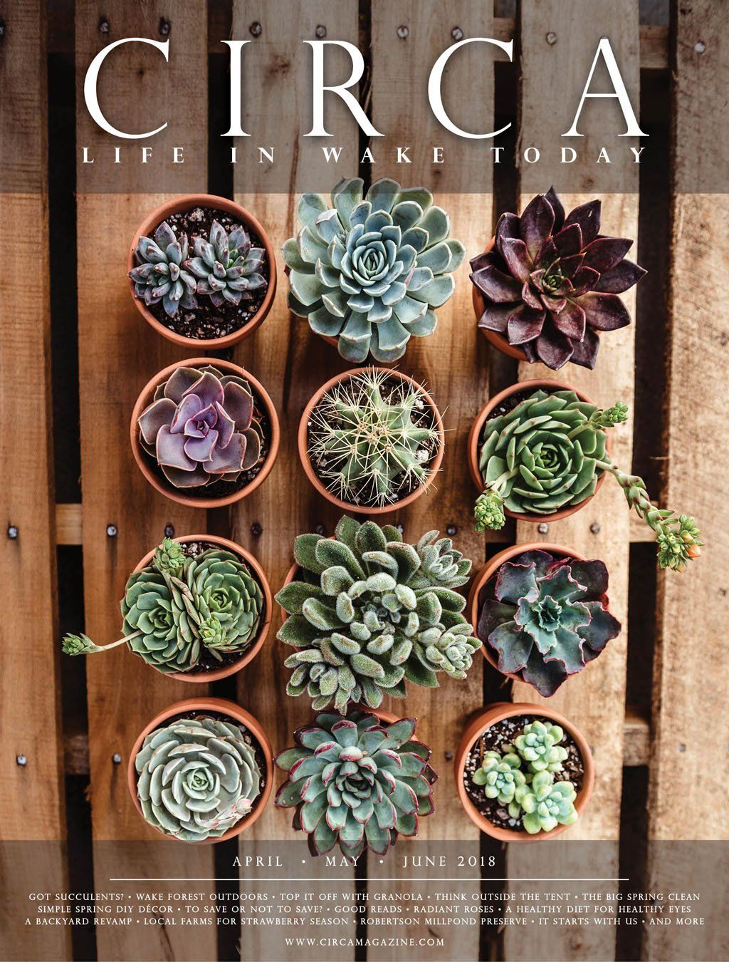 Magazine cover with potted succulents arranged on a wooden backdrop. The word 
