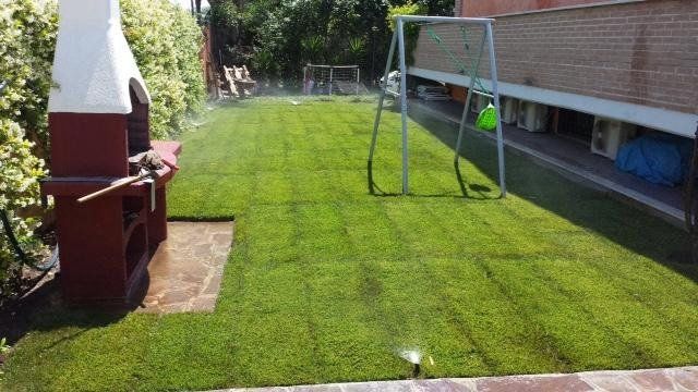 lavori di posa di un prato in un giardino privato
