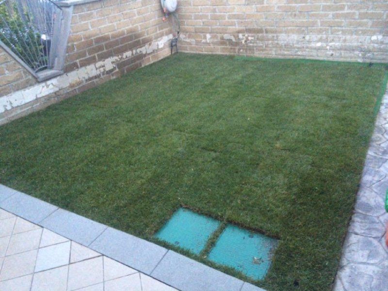 prato erboso in un giardino chiuso