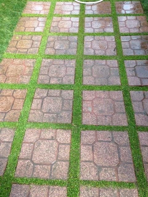 mattonelle di pietra per vialetto di un giardino