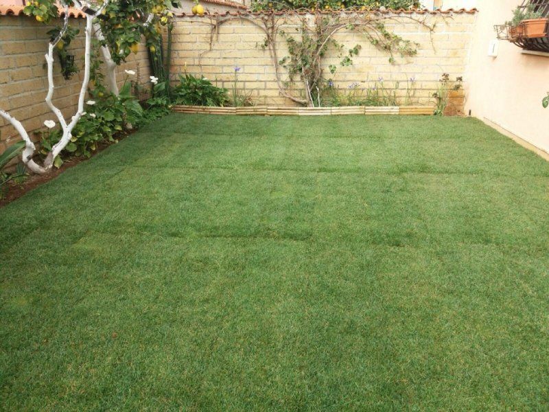 Prato verde in un giardino privato