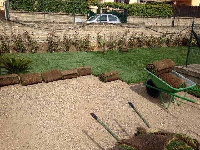 posa prato a rotoli in un giardino condominiale