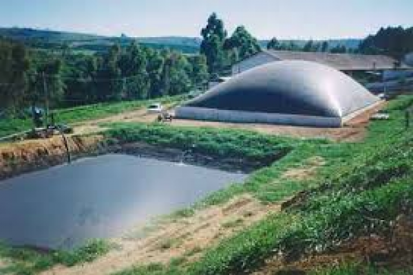 Control ambiental - FerroBombas del Valle