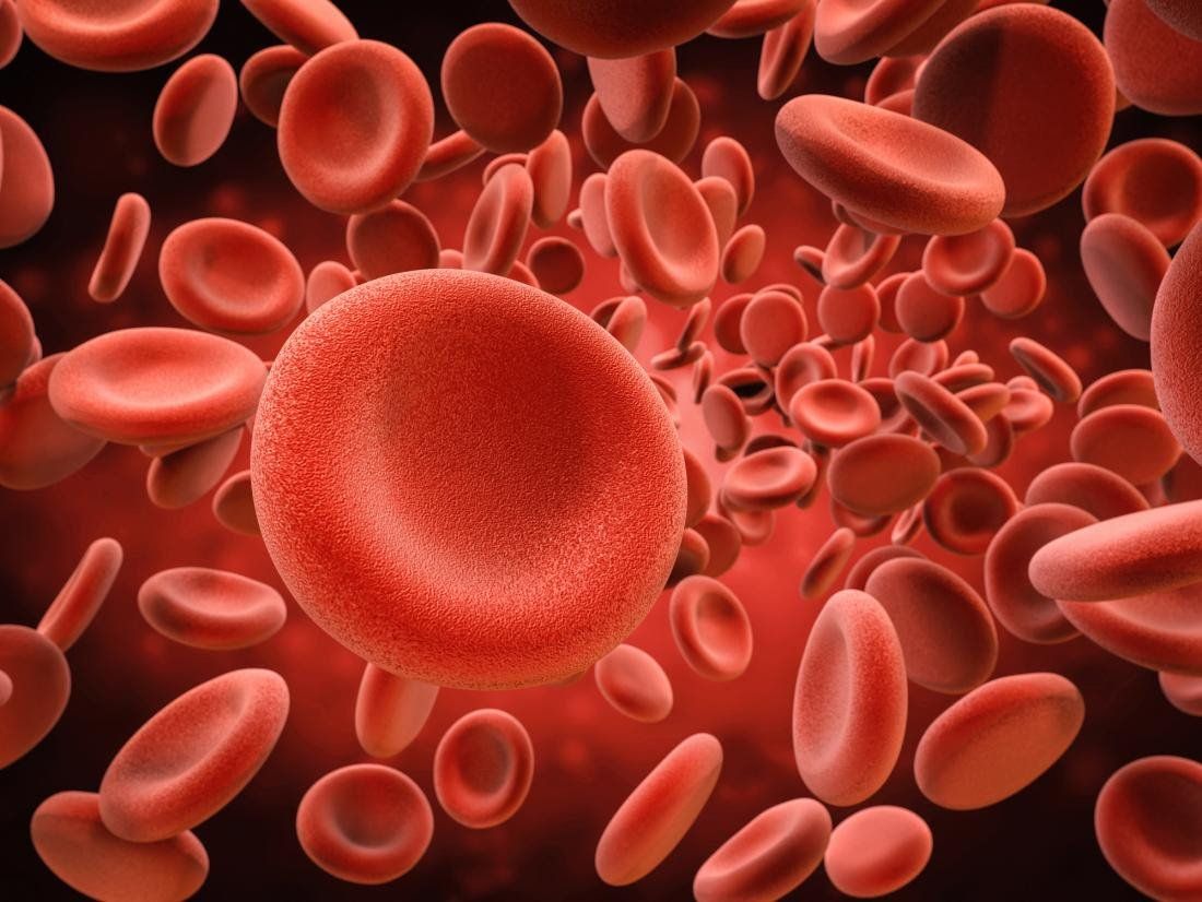 Red blood cells, close-up view. Many disc-shaped cells in red tones, floating against a dark background.