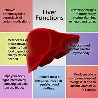 Diagram of liver functions: detoxification, nutrient storage, energy production, protein production, infection fighting, blood clotting regulation, and bile production.