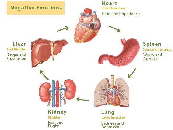 Diagram showing negative emotions linked to internal organs: heart, liver, kidney, lung, spleen.
