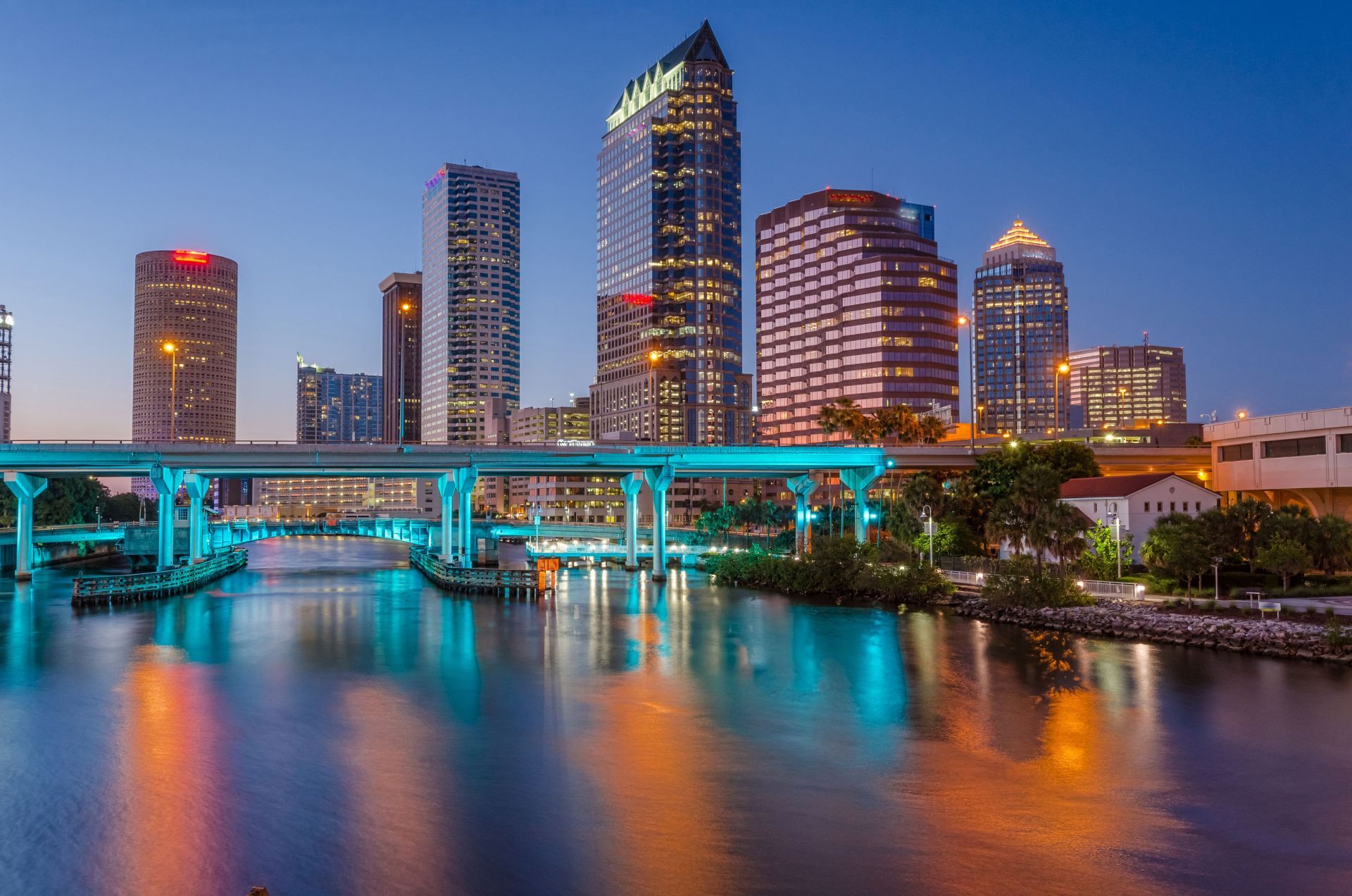 best chiropractors in tampa