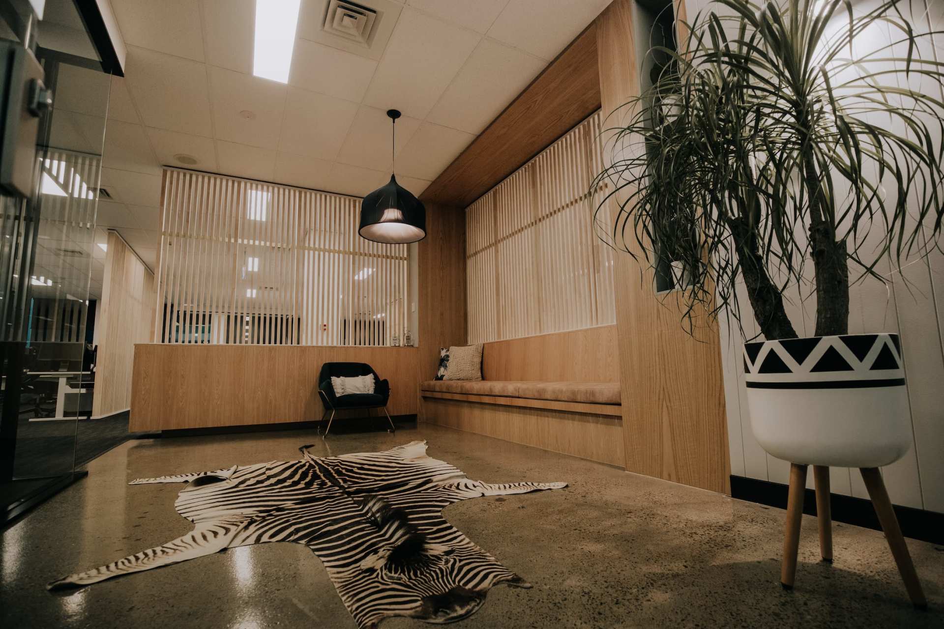 A room with a zebra rug on the floor and a plant.