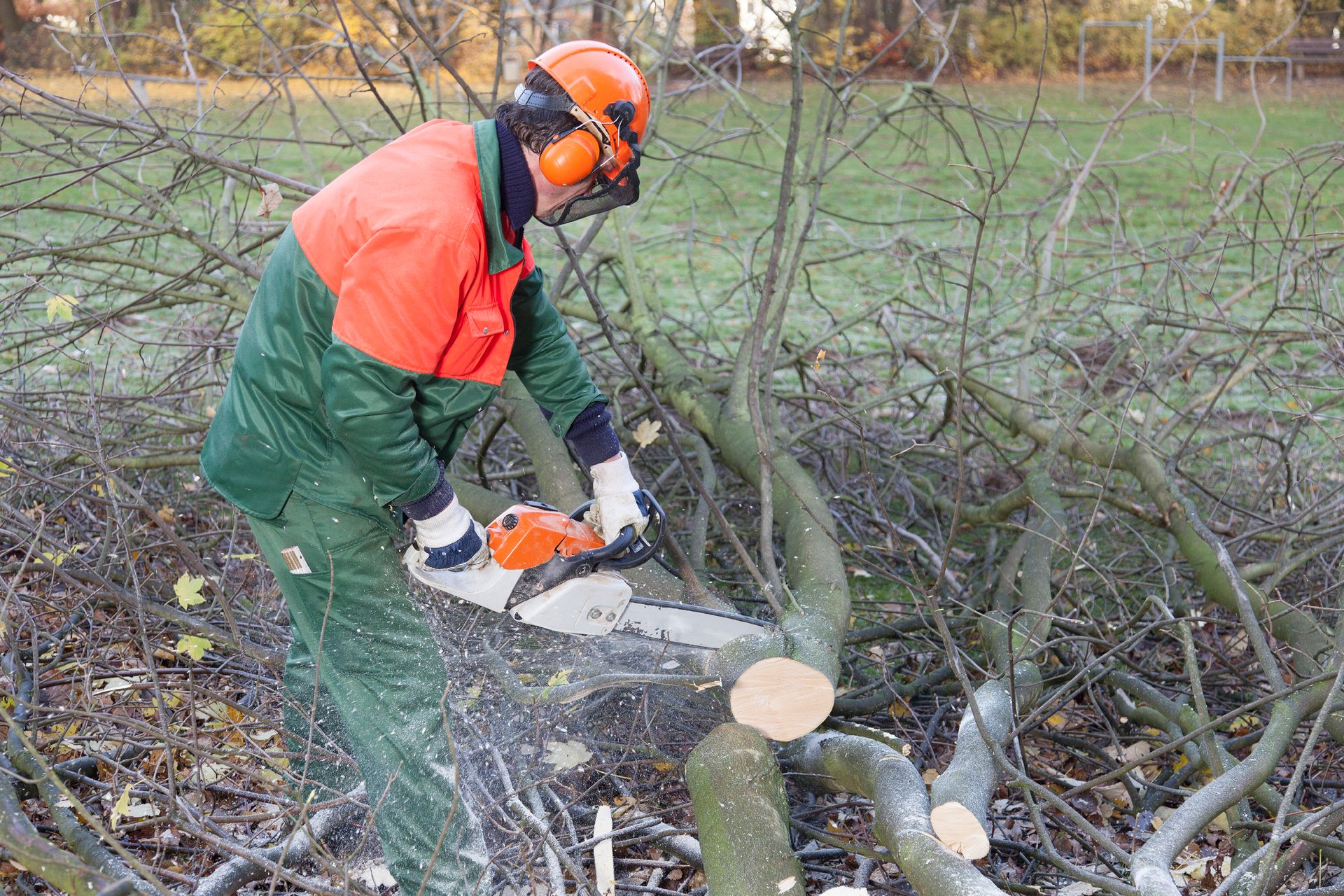 Tree Removal Batavia, NY