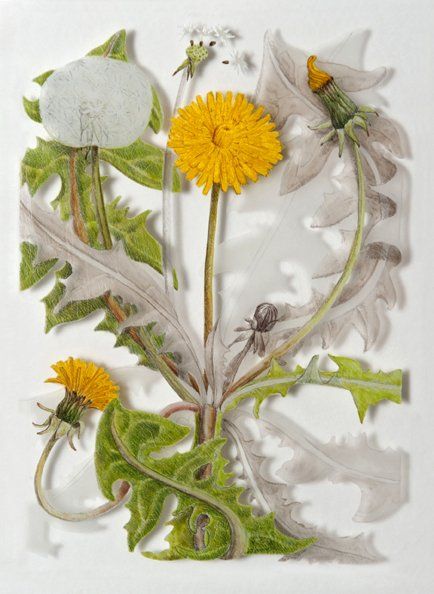 Dandelion, a verre églomisé painting by Olivier Cornet Gallery artist Yanny Petters
