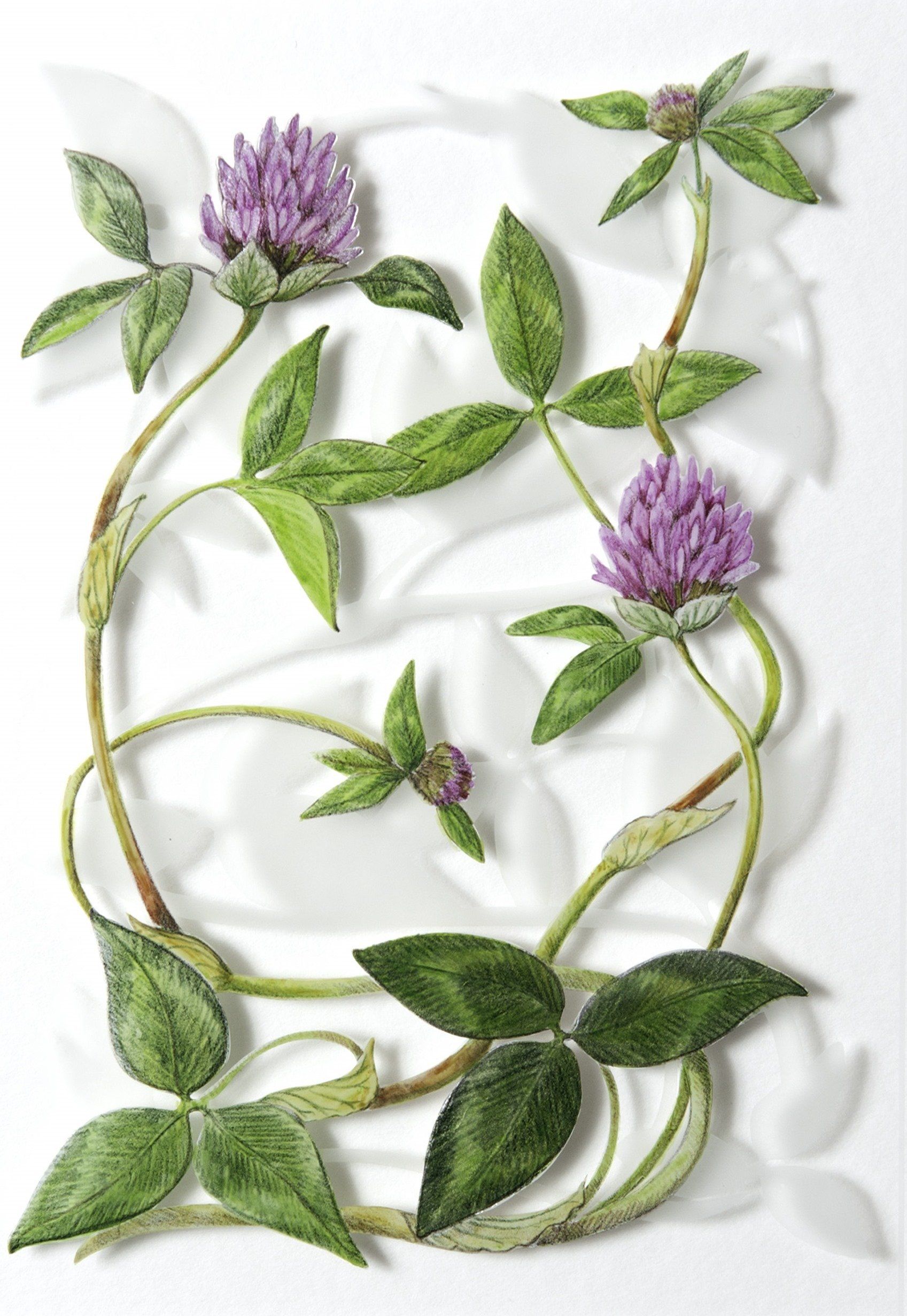 Red Clover, a verre églomisé painting by Olivier Cornet Gallery artist Yanny Petters