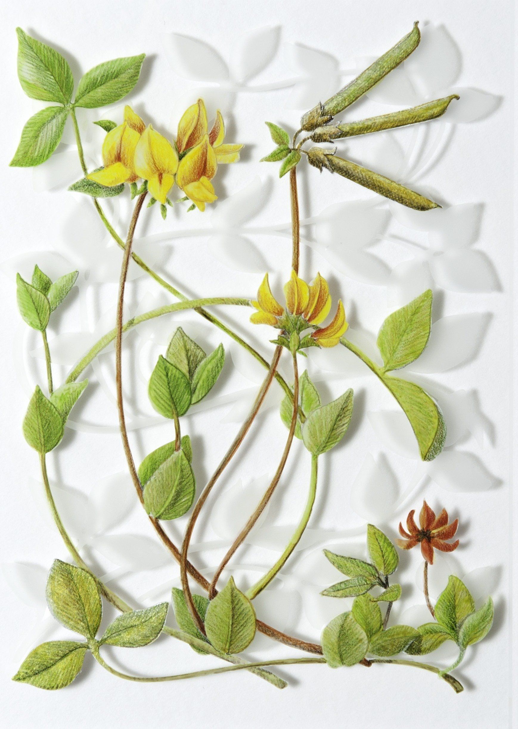 Trefoil, a verre églomisé painting by Olivier Cornet Gallery artist Yanny Petters