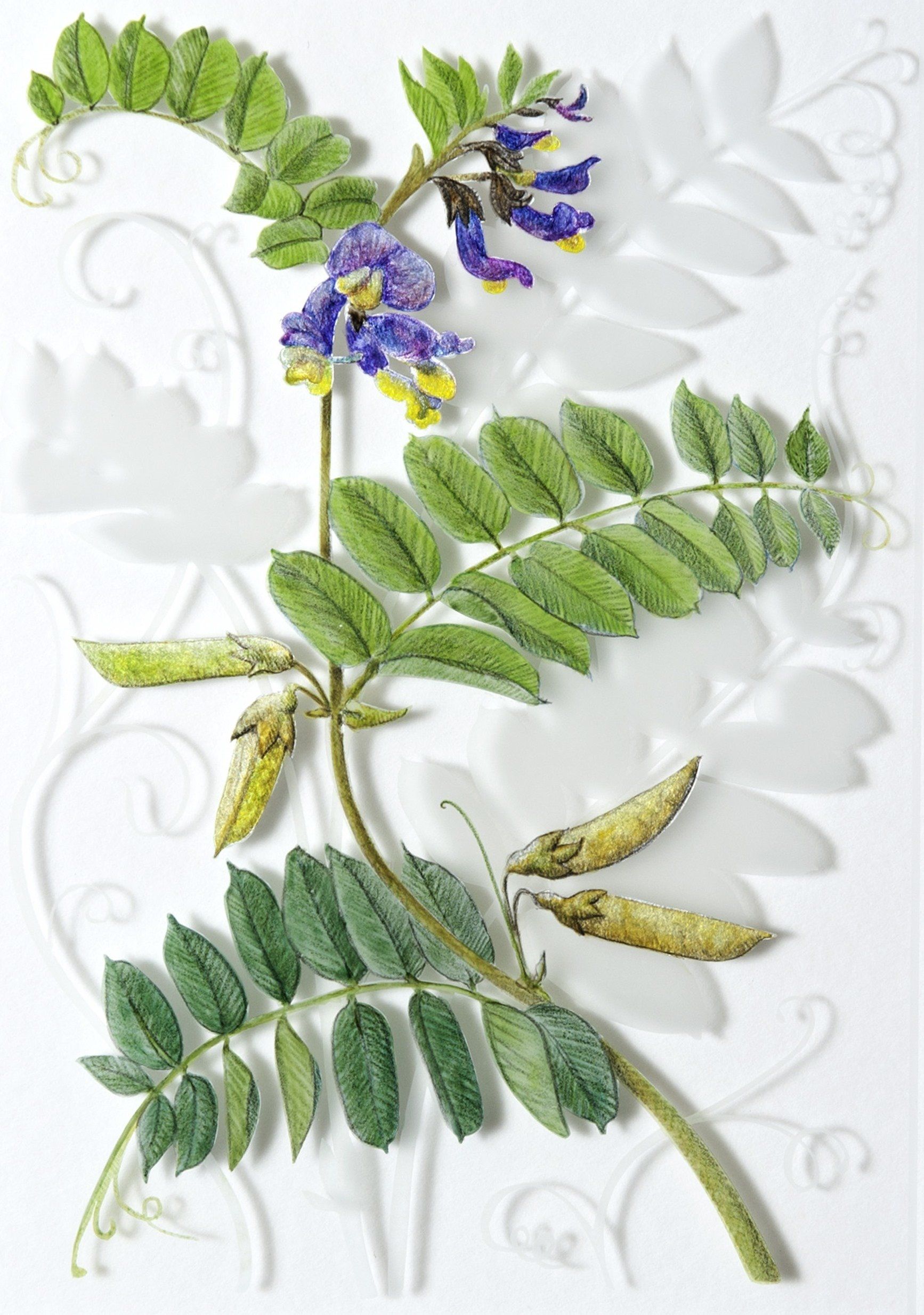 Vetch, a verre églomisé painting by Olivier Cornet Gallery artist Yanny Petters