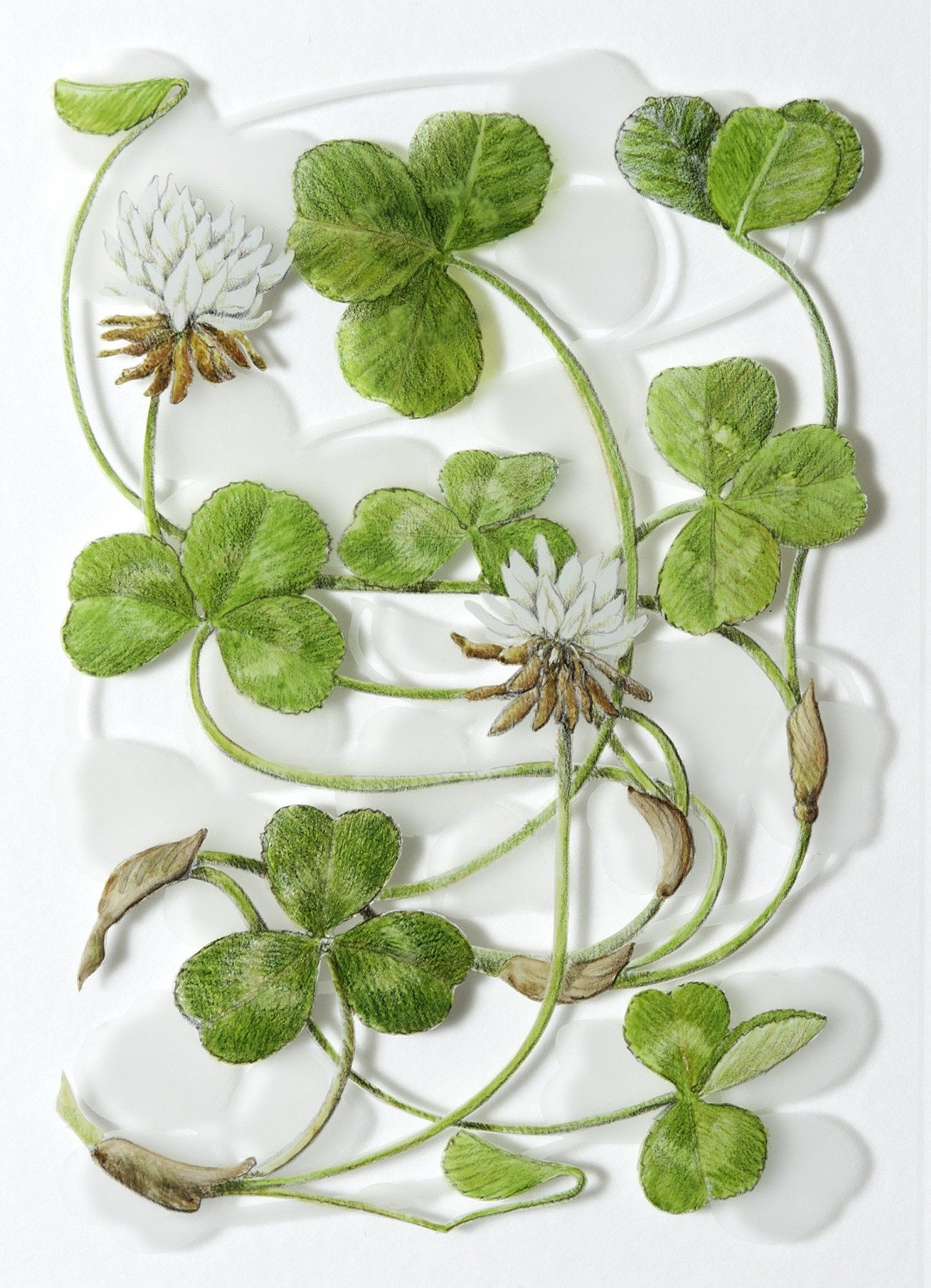 White Clover, a verre églomisé painting by Olivier Cornet Gallery artist Yanny Petters