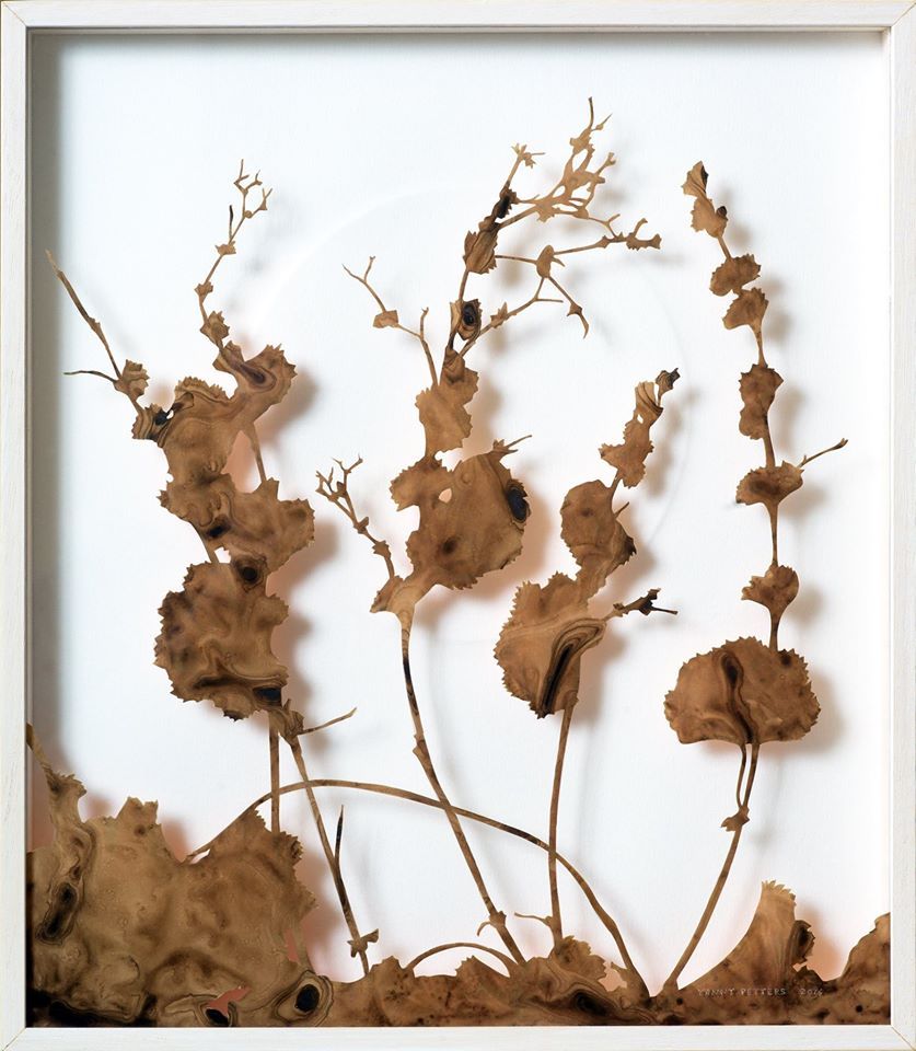Lady's Mantle Winter Solstice, December, a verre églomisé painting by Irish artist Yanny Petters, Olivier Cornet Gallery