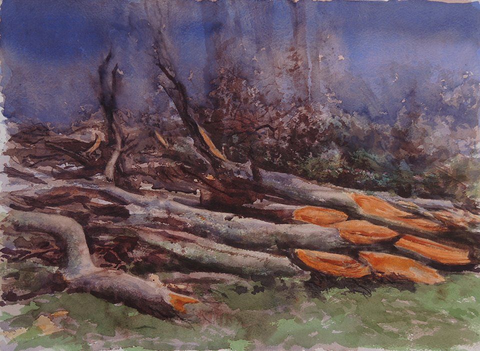 Storm Ulysses, watercolour by Eoin Mac Lochlainn at Olivier Cornet Gallery