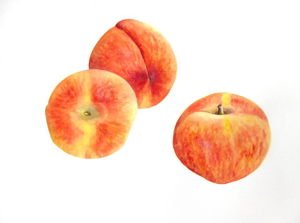 Painting of ripe shamefaced peaches by Yanny Petters at Olivier Cornet Gallery