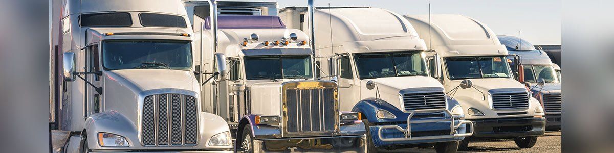 Semi-trucks parked in a row, white cabs in the sunlight.