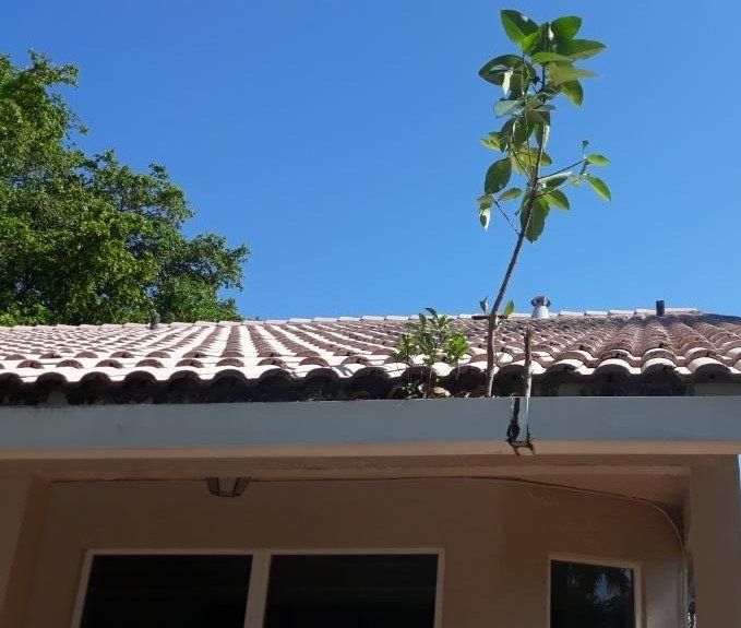 Clean Gutter — Beach, FL — Enterprise Seamless Gutters