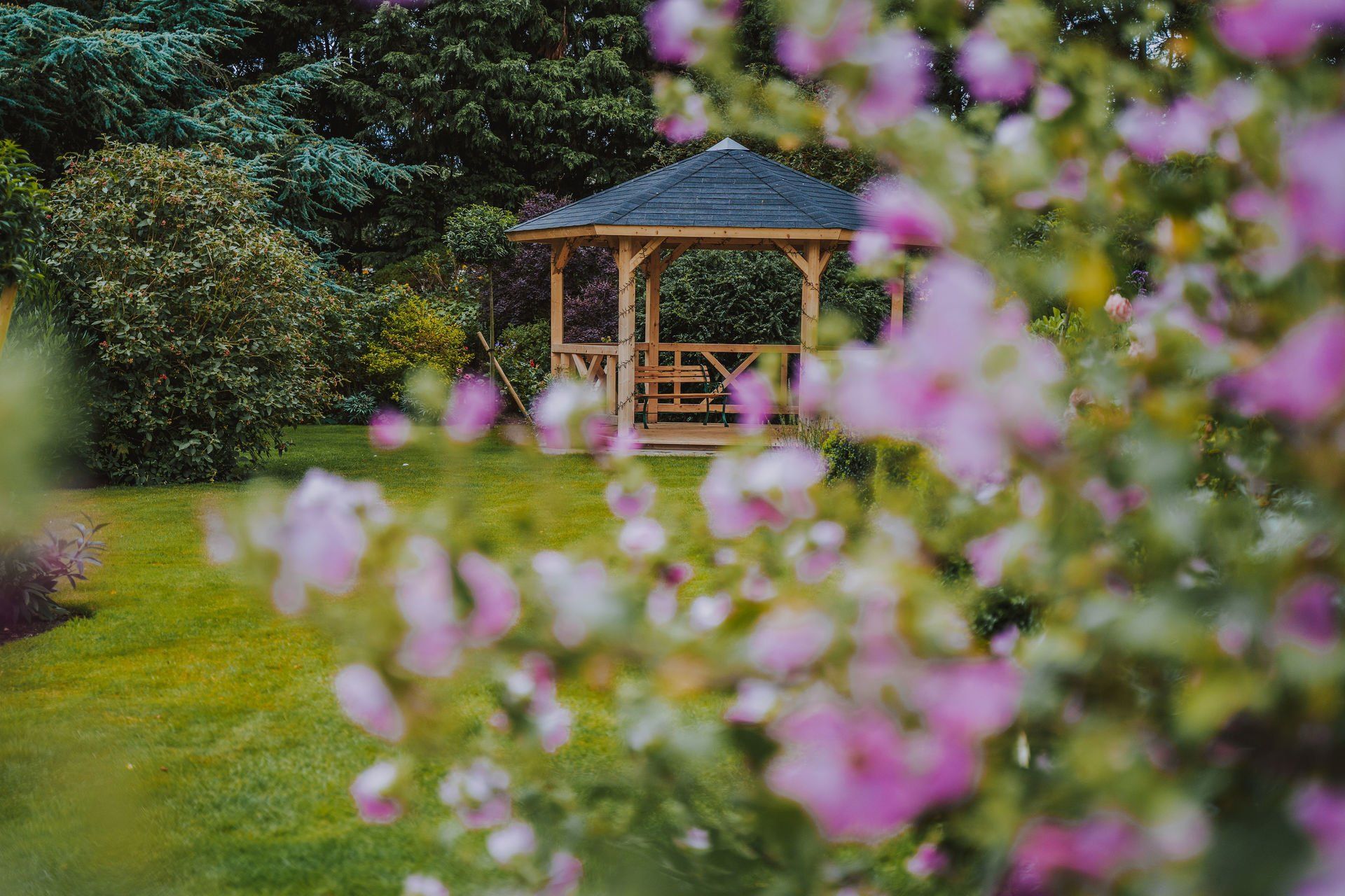 A gazebo is surrounded by purple flowers in a garden.