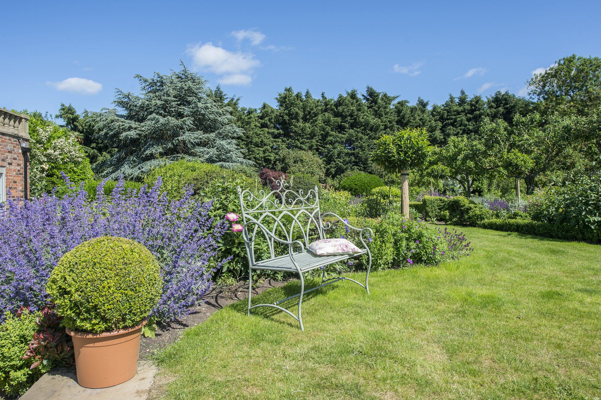 A lush green garden with a bench and potted plants.