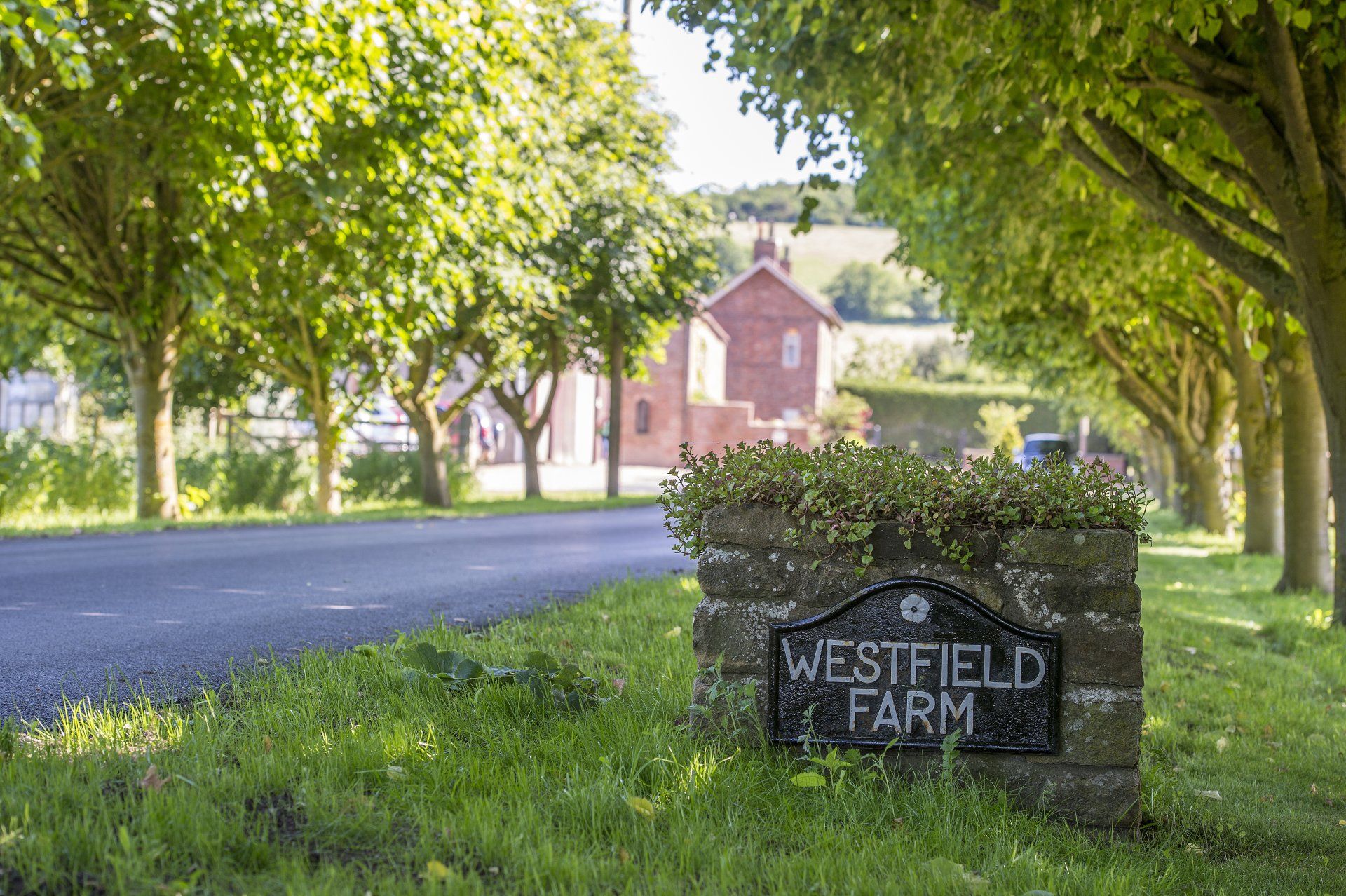A sign for westfield farm is sitting on the side of the road.