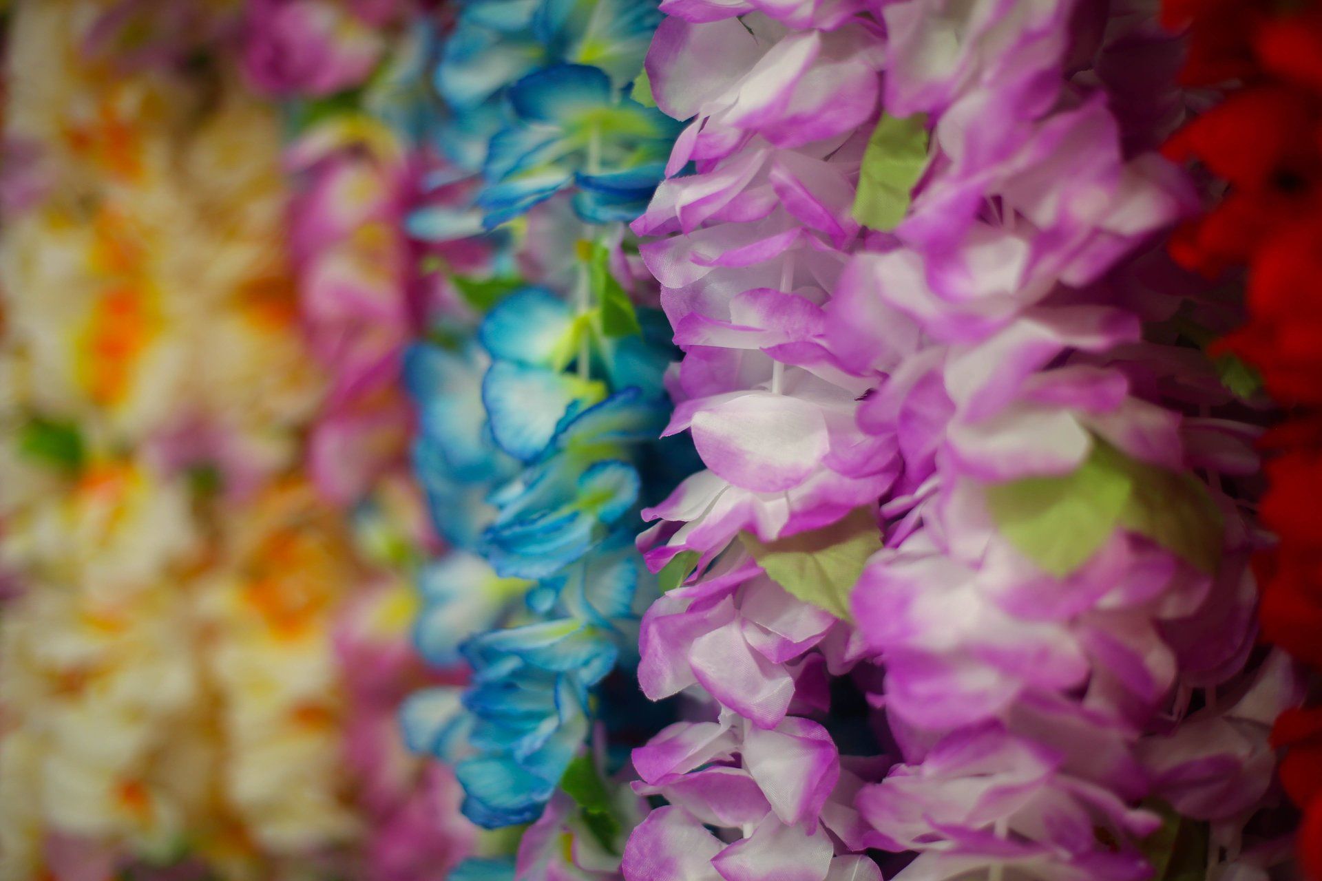 Leis , DIY costume