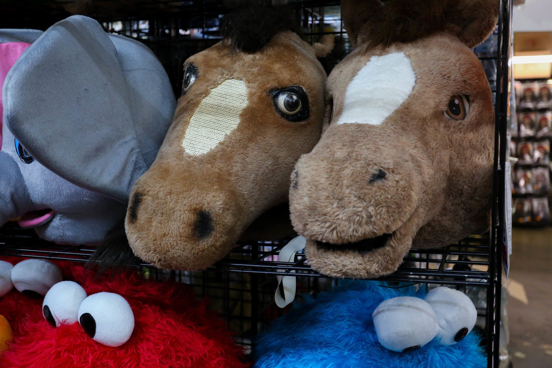 animal costume rentals
