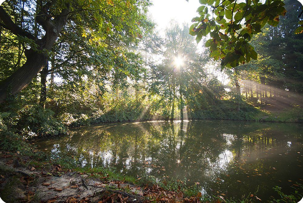 Vissen in Oost Vlaanderen Vlaamse ardennen