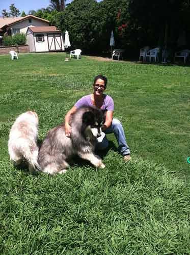 dog and owner -  Dog Boarding and Training Facility Services in Sylmar, CA
