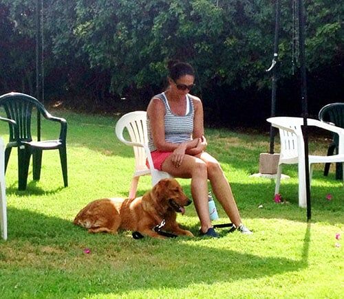 dog and owner - Dog Obedience Training in Sylmar, CA