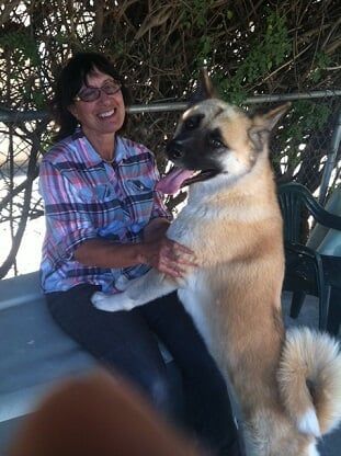 Man Teaching Dog To Fetch - Dog Obedience Training in Sylmar, CA