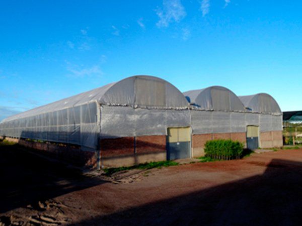 galeria1