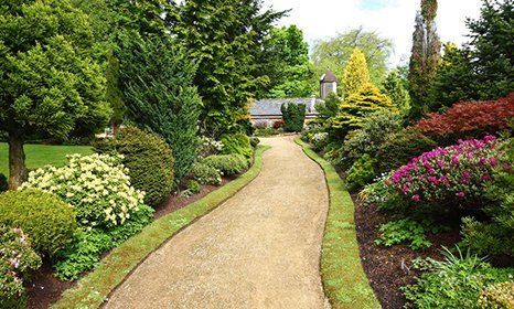 Soft landscaping