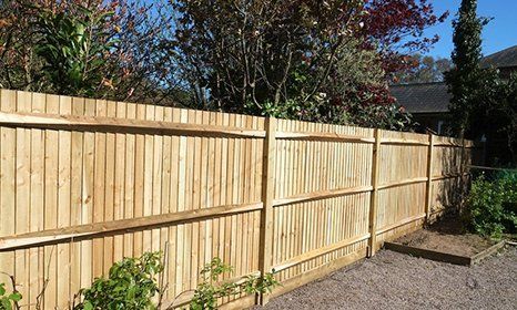 Close-board fences