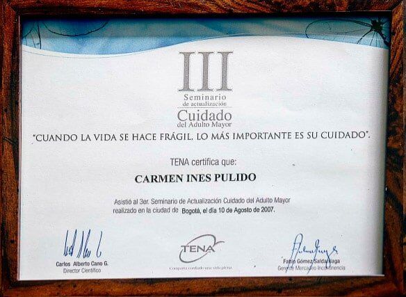 Certificación participación Hogar Geriátrico Doña Tere III Seminario de Actualización Cuidado del Adulto Mayor