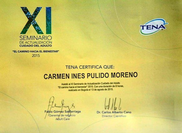 Certificación participación Hogar Geriátrico Doña Tere XI Seminario de Actualización Cuidado del Adulto Mayor