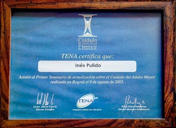 Certificación participación Hogar Geriátrico Doña Tere I Seminario de Actualización Cuidado del Adulto Mayor