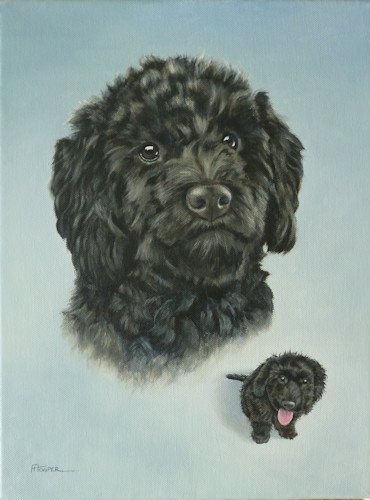 Cockapoo oil painting