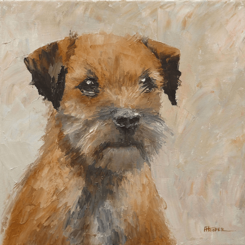 Border Terrier oil painting