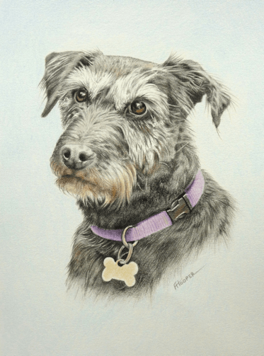 Terrier coloured pencil painting