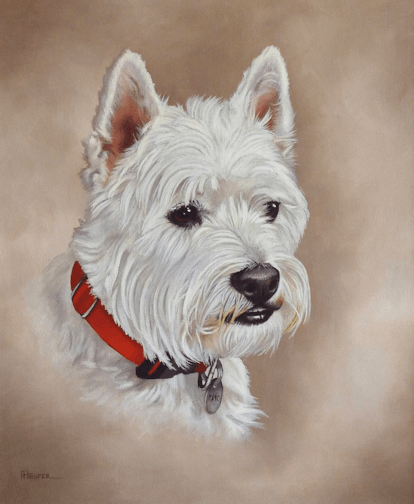 West Highland White Terrier oil painting