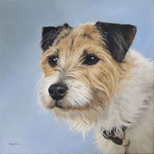 Parson Russell terrier oil painting