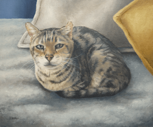Tabby cat oil painting