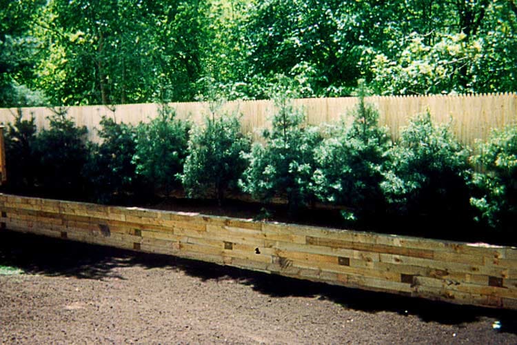Small Trees Side By Side — Thornwood, NY — Harry Hudd Architectural Landscapes