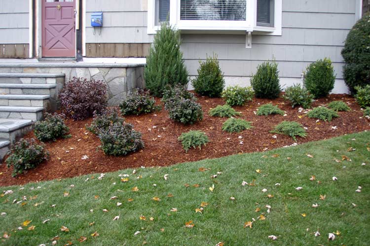 Small Plants — Thornwood, NY — Harry Hudd Architectural Landscapes