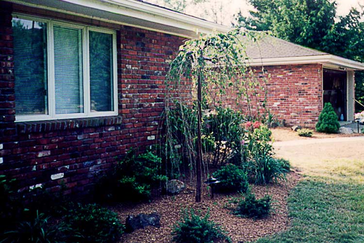 Plants Around The House — Thornwood, NY — Harry Hudd Architectural Landscapes