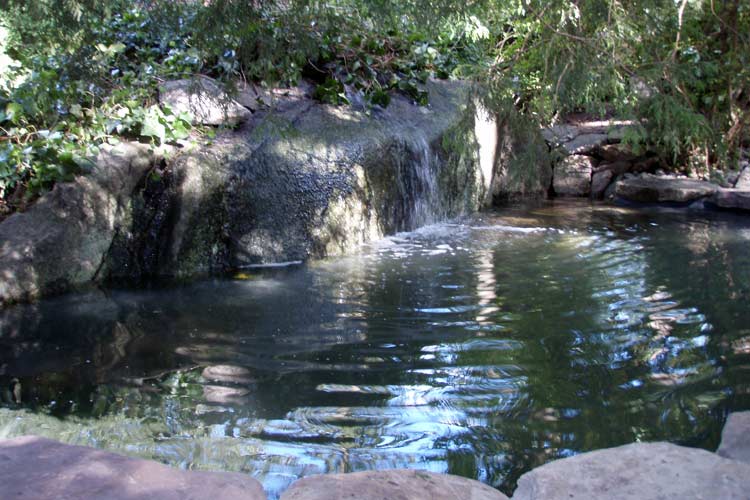 Custom Pond — Thornwood, NY — Harry Hudd Architectural Landscapes
