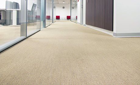 plain carpets